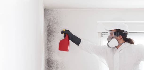 Crawl Space Mold Removal in Holts Summit, MO